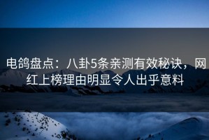 电鸽盘点：八卦5条亲测有效秘诀，网红上榜理由明显令人出乎意料