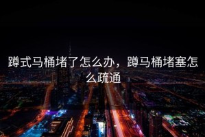 蹲式马桶堵了怎么办，蹲马桶堵塞怎么疏通