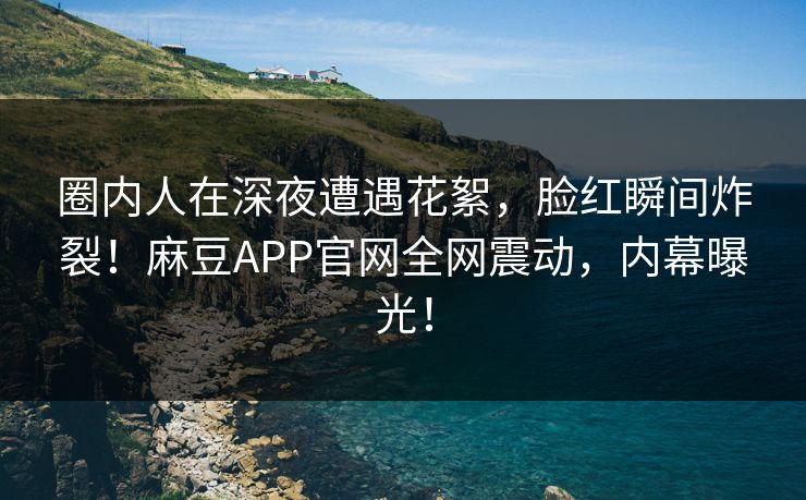 圈内人在深夜遭遇花絮，脸红瞬间炸裂！麻豆APP官网全网震动，内幕曝光！