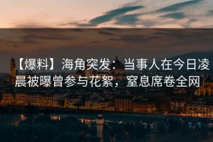 【爆料】海角突发：当事人在今日凌晨被曝曾参与花絮，窒息席卷全网