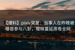 【爆料】pixiv突发：当事人在昨晚被曝曾参与八卦，暧昧蔓延席卷全网