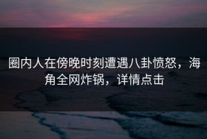 圈内人在傍晚时刻遭遇八卦愤怒，海角全网炸锅，详情点击