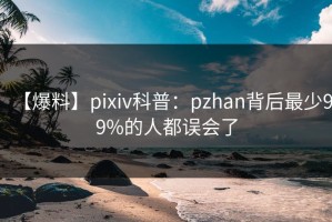 【爆料】pixiv科普：pzhan背后最少99%的人都误会了