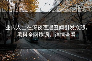 业内人士在深夜遭遇丑闻引发众怒，黑料全网炸锅，详情查看