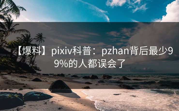 【爆料】pixiv科普：pzhan背后最少99%的人都误会了