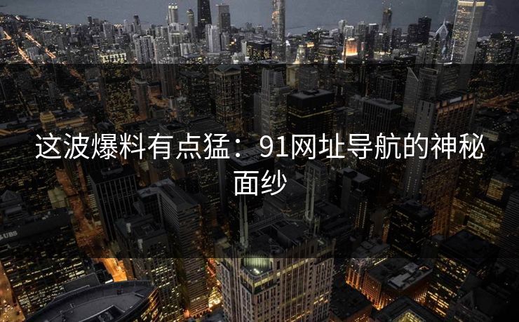 这波爆料有点猛：91网址导航的神秘面纱