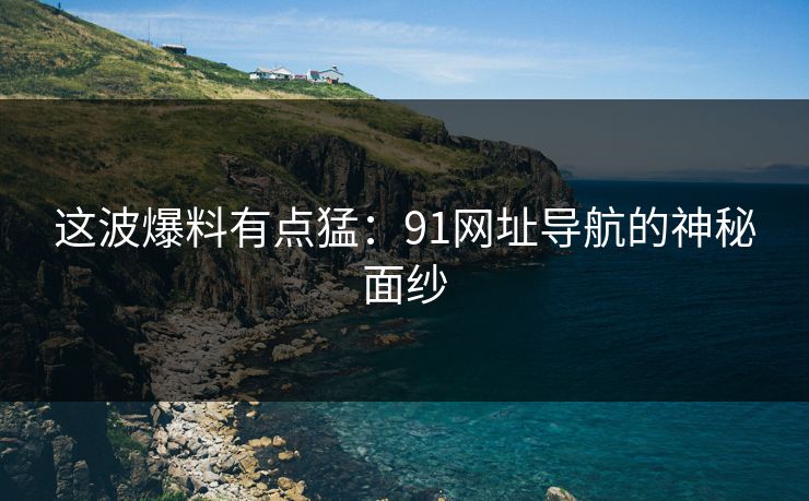这波爆料有点猛：91网址导航的神秘面纱